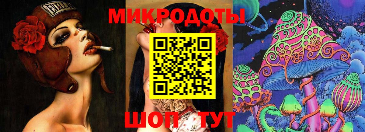 Псилоцибиновые грибы Psilocybe Азнакаево