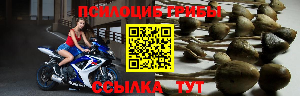 Азнакаево  Псилоцибиновые грибы Magic Shrooms  Вход с VPN  Галлюциногенные грибы ЛСД 